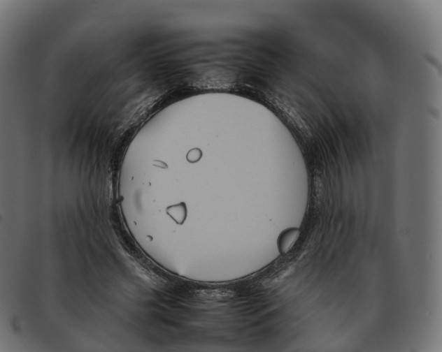 X0000092220541200710121159