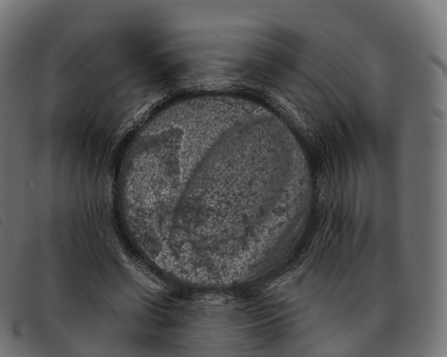 X0000092220542200710121159