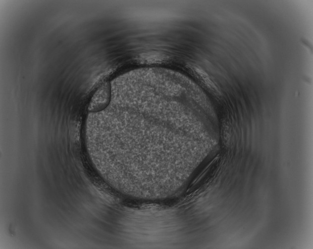 X0000092220543200710121159