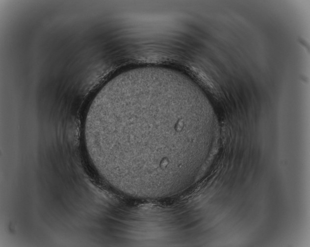 X0000092220544200710121159