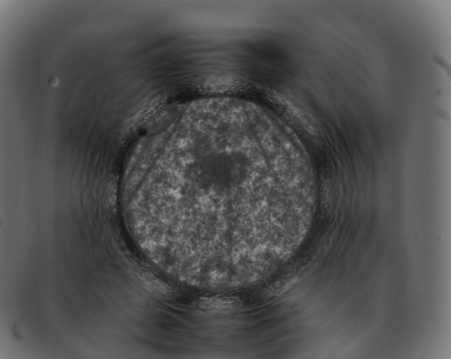 X0000092220545200710121159