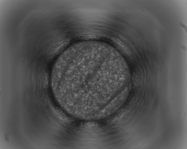 X0000092220546200710121159