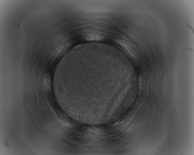 X0000092220547200710121159