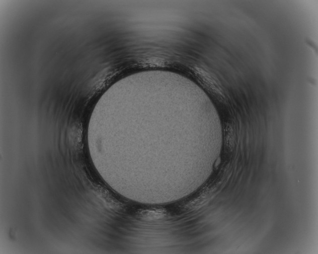 X0000092220548200710121159