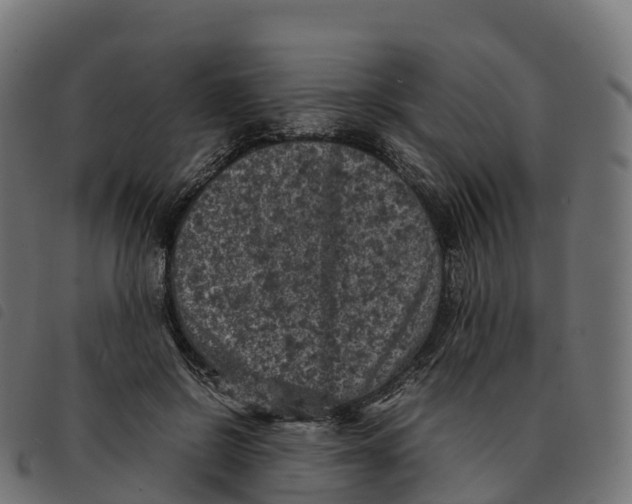 X0000092220550200710121159