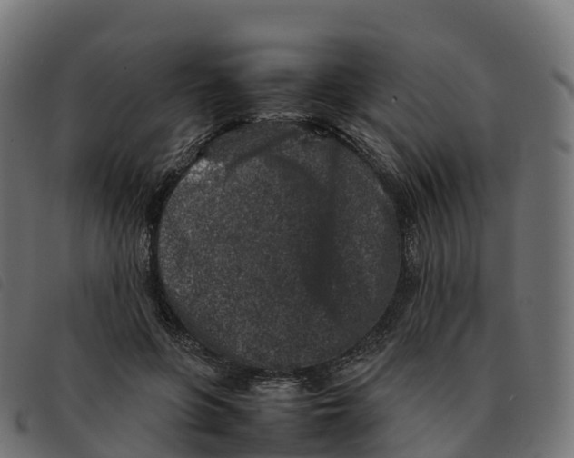 X0000092220551200710121159