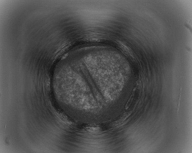 X0000092220552200710121159