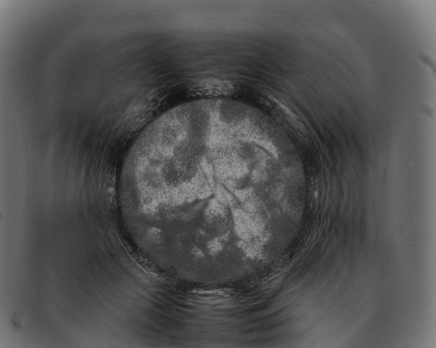 X0000092220553200710121159