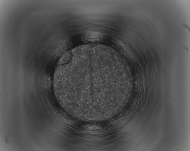 X0000092220555200710121159