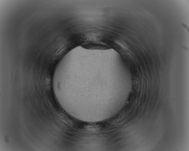 X0000092220556200710121159