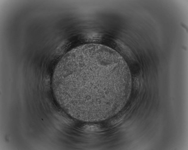 X0000092220557200710121159