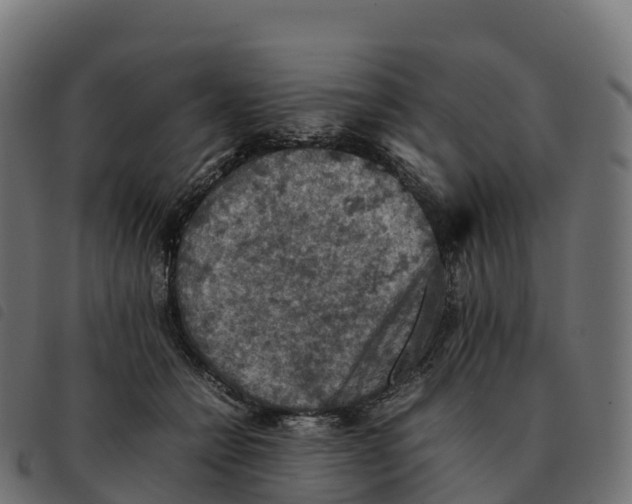 X0000092220558200710121159