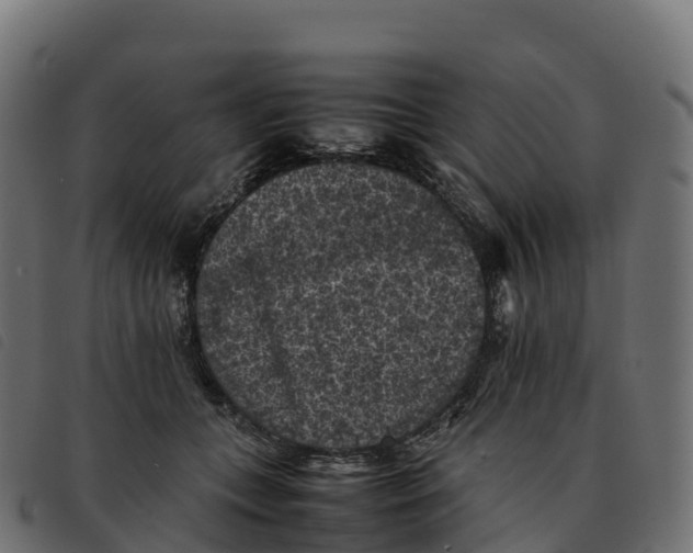 X0000092220559200710121159