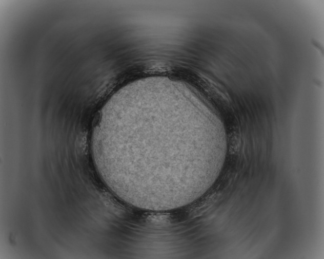 X0000092220560200710121159