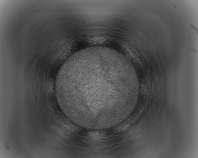 X0000092220561200710121159