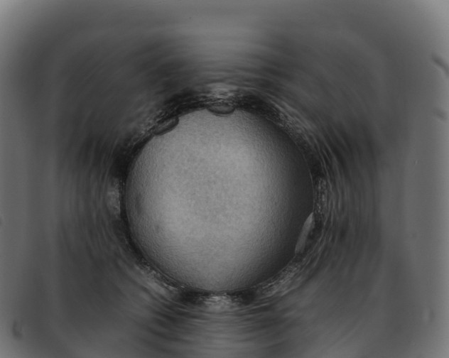 X0000092220562200710121159