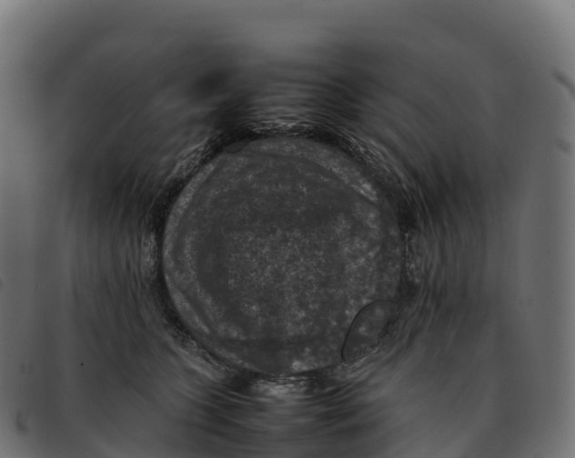 X0000092220563200710121159