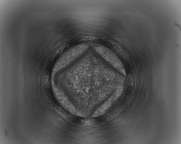 X0000092220564200710121159