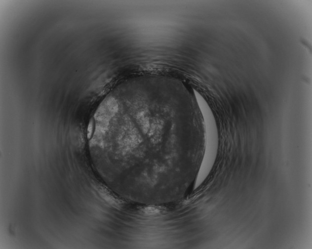 X0000092220566200710121159