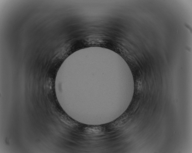 X0000092220567200710121159