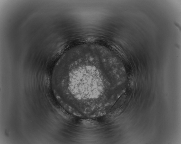 X0000092220568200710121159