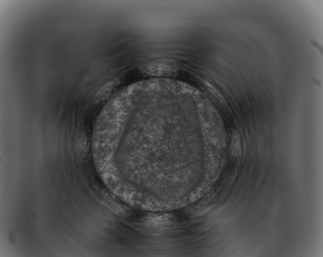 X0000092220569200710121159