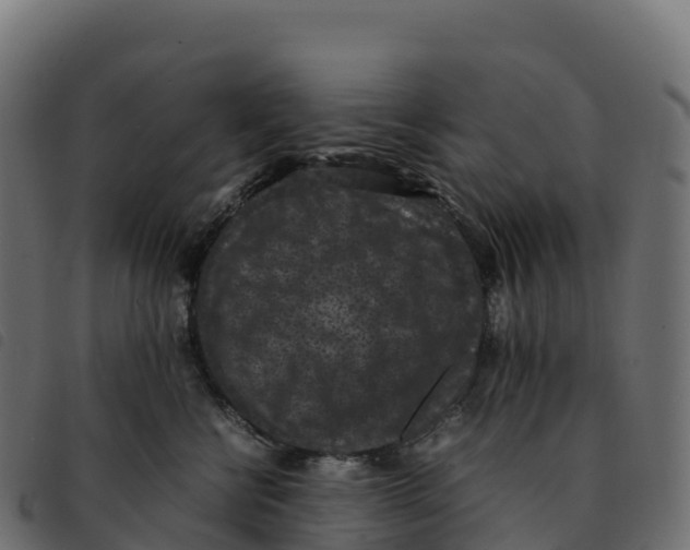 X0000092220570200710121159