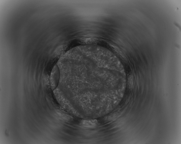 X0000092220571200710121159