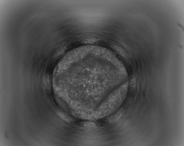 X0000092220572200710121159