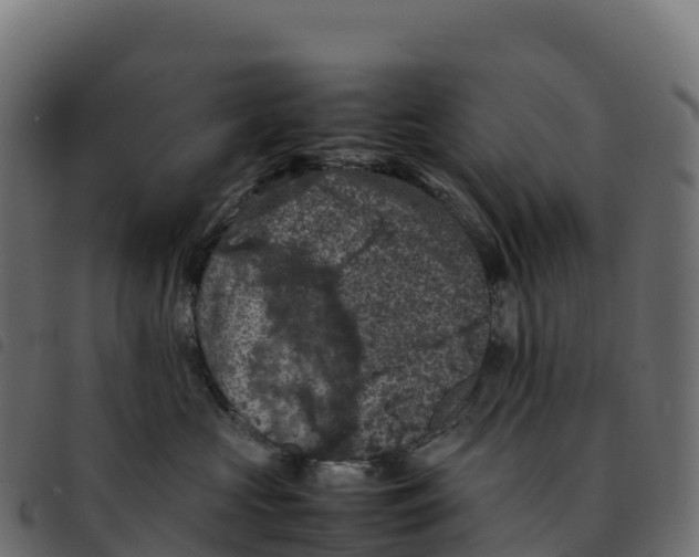 X0000092220573200710121159