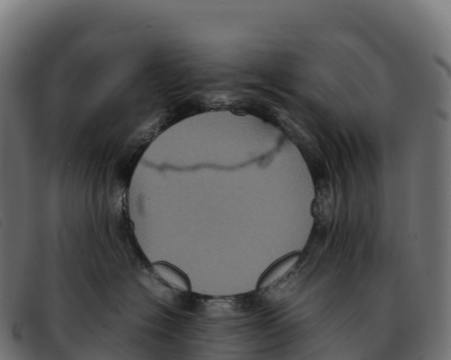 X0000092220574200710121159