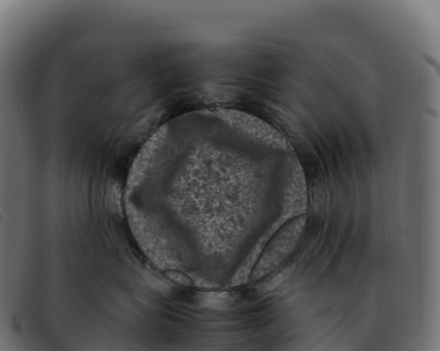 X0000092220575200710121159