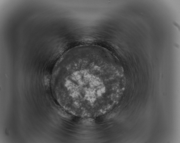 X0000092220576200710121159