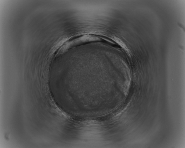 X0000092220577200710121159