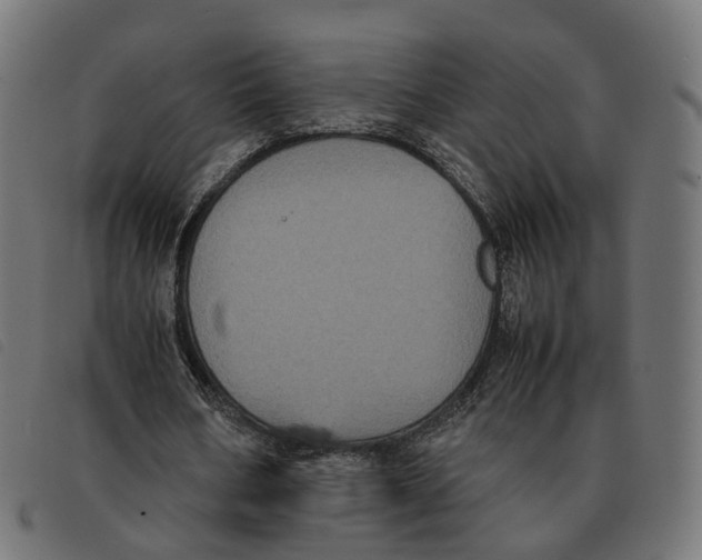 X0000092220578200710121159