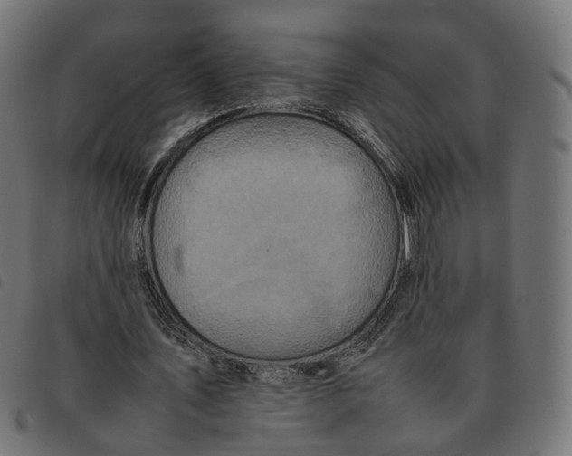 X0000092220579200710121159