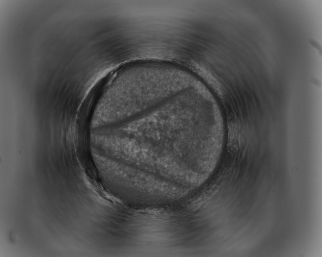 X0000092220580200710121159