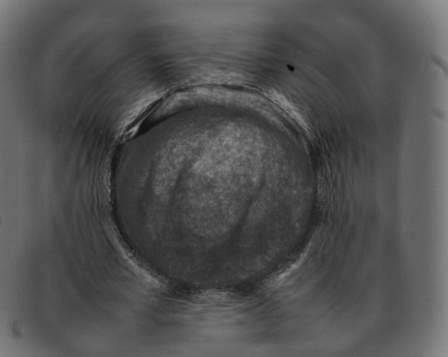 X0000092220581200710121159