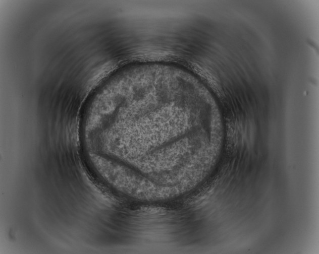 X0000092220582200710121159