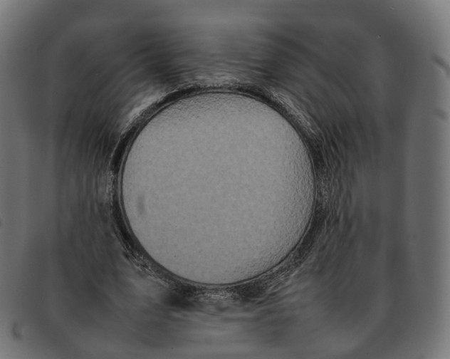 X0000092220583200710121158