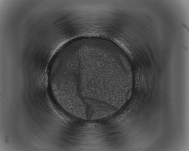 X0000092220584200710121158