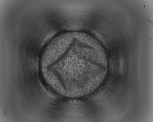 X0000092220586200710121158