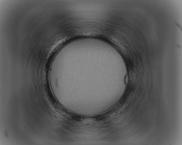 X0000092220587200710121158