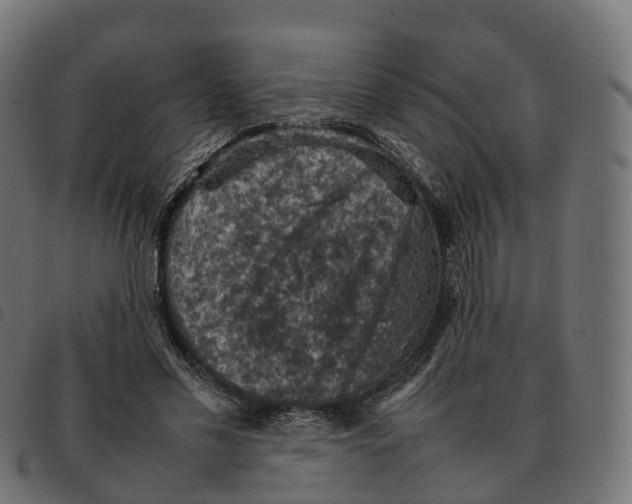 X0000092220589200710121158