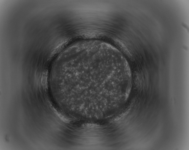 X0000092220590200710121158