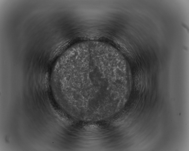 X0000092220594200710121158