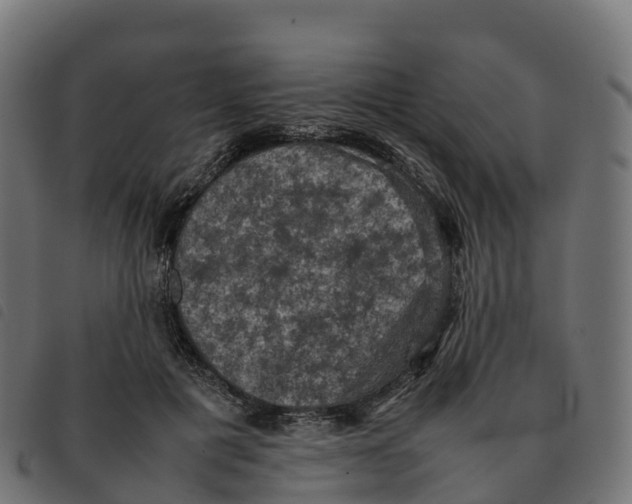X0000092220601200710121158