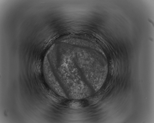 X0000092220604200710121158