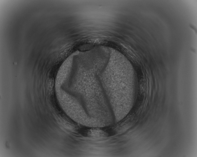X0000092220605200710121158