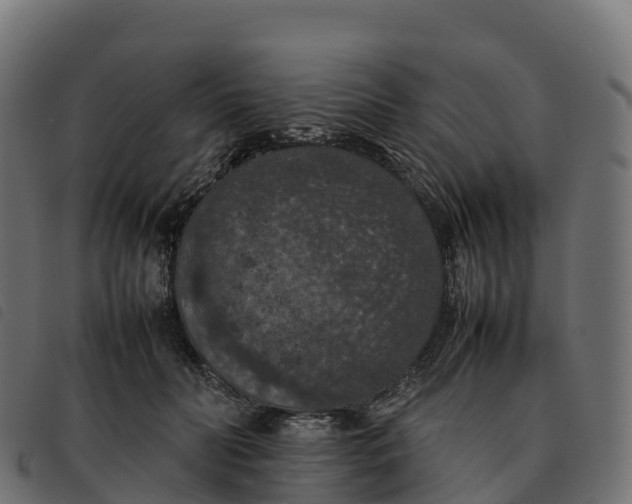 X0000092220606200710121158